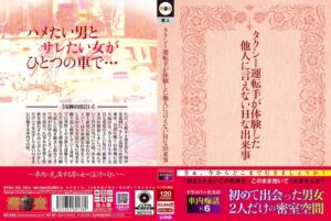 タクシー運転手が体験した他人に言えないHな出来事[濡壺/妄想族]