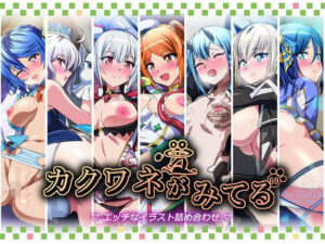 カクワネがみてるvol，69